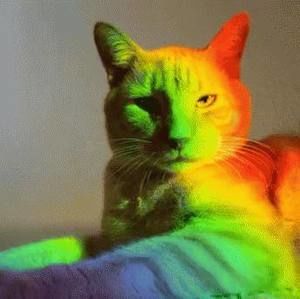 Meet your Posher, Matheus